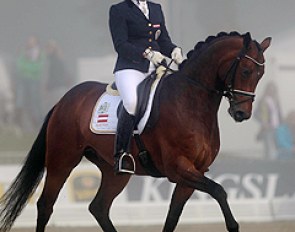 Austrian Ulrike Prunthaller on Quarz, a very powerfully moving Quaterback x Rubinstein Noir, who needed to be more through and steady in the bridle