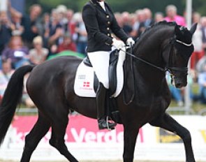 The Danish warmblood Sezuan will be back to defend his 2014 and 2015 World Champion's title in Ermelo :: Photo © Astrid Appels