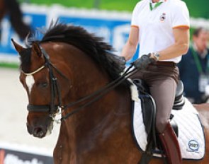 Borja Carrascosa Martinez schooling Hicksteadt at the 2014 World Equestrian Games :: Photo © Astrid Appels