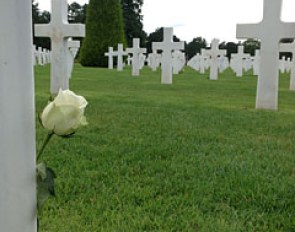 Flower at grave