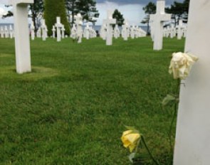 Flowers at grave