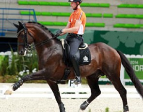 Diederik van Silfhout on Arlando