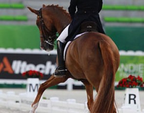 Definitely an individual medal contender but sadly withdrawn from WEG: Isabell Werth and Bela Rose