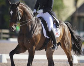 Eliane Cordia-van Reesema and Jewel's Amethyst at the 2014 CDN Wellington :: Photo © Astrid Appels