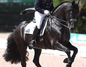 Australia's Karin Davis on the Friesian Morris