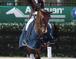 Susan Dutta and Currency DC win the Grand Prix Kur 3* at the 2014 CDIO Wellington