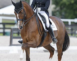 Canadian Brittany Fraser and her Dutch warmblood All In competing at Grand Prix level in Wellington :: Photo © Sue Stickle