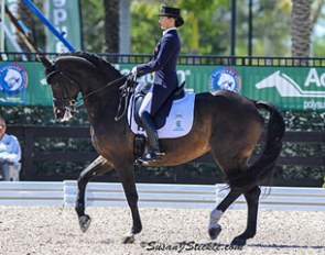 Mikala Gundersen and My Lady win the Grand Prix at the 2014 CDI-W Wellington :: Photo © Sue Stickle