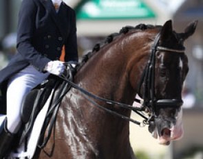 Kelly Layne and Udon P at the 2014 CDIO Wellington in February :: Photo © Astrid Appels