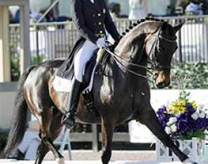 Adrienne Lyle and Wizard at the 2014 CDI Wellington :: Photo © Sue Stickle