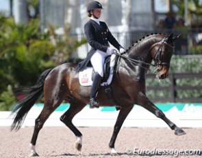 Adrienne Lyle and Wizard win the Grand Prix at the 2014 CDIO Wellington :: Photo © Astrid Appels