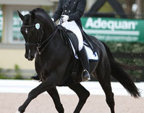 Catherine Malone on UNO Don Diego (by Dressage Royal x Falkland). The black Danish stallion grunted his way through the canter tour but produced very expressive trot work