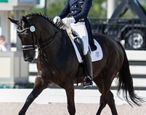 Juan Matute Guimon and Don Diego at the 2014 CDI-W Wellington :: Photo © Sue Stickle