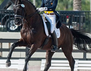 Juan Matute Guimon and Don Diego at the 2014 CDI-W Wellington :: Photo © Sue Stickle