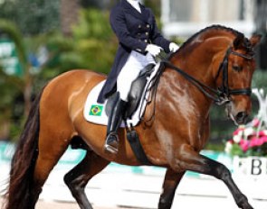 Brazilian Samira Mayumi Uemura on the well moving PRE bred Tamarindo XI
