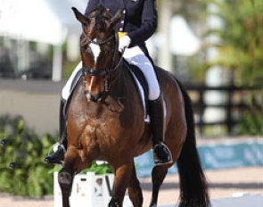 Karen Pavicic on Don Daiquiri