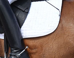 Are spurs and whip used in the right way? Are we having a discussion? Do we need to have a discussion? :: Photo © Astrid Appels