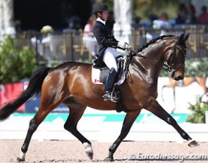 Belinda Trussell and Anton at the 2014 CDIO Wellington :: Photo © Astrid Appels