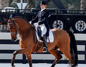 Tinne Vilhelmson and Divertimento at the 2014 CDI-W Wellington :: Photo © Sue Stickle
