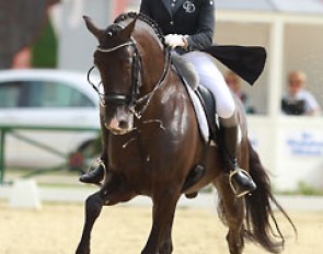 Italian Silvia Rizzo had an unusually mistake filled ride on Sal. After the test, the rider fainted and was immediately treated for low blood pressure and dehydration because of the heat.