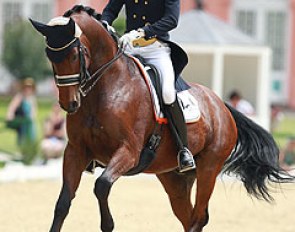 Thomas Wagner on Amoricello