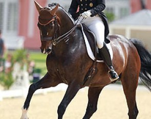 Isabell Werth on Der Stern. The ride was full of mistakes, horse wide behind in the entire passage, crooked to the right all the time. Amazing that it still scored 65.98% while less famous riders  struggle to get 65%