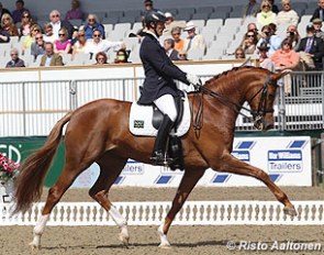 Michael Eilberg and Woodlander Farouche at the 2014 CDI Windsor :: Photo © Risto Aaltonen