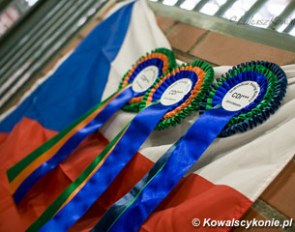 Zakrow ribbons