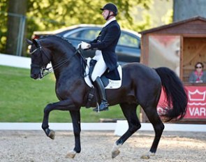 Michael Sogaard and Hoftanz at the 2015 Danish Dressage Championships in Broholm :: Photo © Ridehesten.com