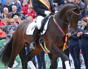 Manuel Bammel and Smirnoff win the 5-year old Dressage Horse division at the 2015 Bundeschampionate :: Photo © LL-foto