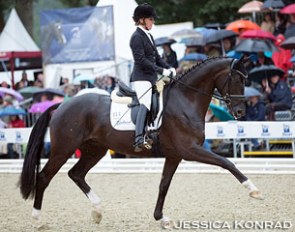 Lordswood Dancing Diamond at the 2015 Bundeschampionate in Warendorf :: Photo © Jessica Konrad