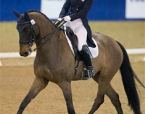 Young rider Catherine Chamberlain on the Dutch bred Avesto van Weltevreden (by Gribaldi)