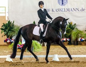 Veronica West and Nobleman at the 2015 CDI-W Burbank :: Photo © Terri Miller