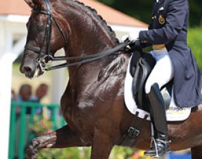 Jeroen Devroe and Aaron at the 2015 CDI Compiegne :: Photo © Astrid Appels