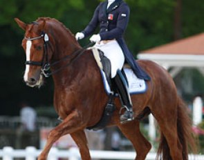 Antonella Joannou on Dandy de la Roche at the 2015 CDI Compiegne :: Photo © Astrid Appels