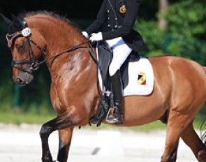 Clara Mourlon Beernaert on Don't Dream at the 2015 CDI Compiegne :: Photo © Astrid Appels