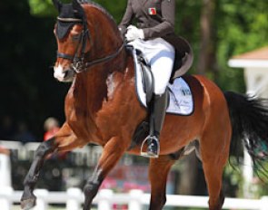 Swiss Patricia Schärli on Cappucino XIV (by Competent x Rohdiamant)