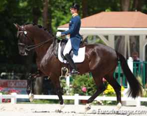 Tommie Visser and Vingino made their CDI come back after a tumultous year with a legal battle. The super talented KWPN gelding was still very tense and Visser rode with the hand brake on, but there is more in the tank