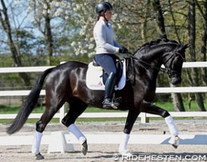 Katrine Kraglund and First Ballerina Macohl (by Furstenball x Schwadroneur) at the Danish WCYH selection trial at Atterupgaard :: Photo © Ridehesten