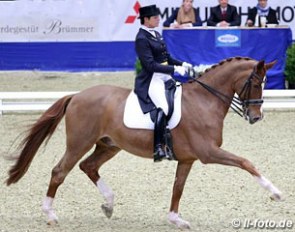 Ulla Salzgeber and Herzruf's Erbe
