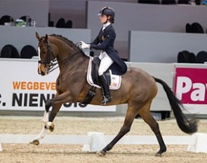 Antonia Arl and Equestricons Ziggy at the 2015 CDI Drachten :: Photo © Digishots