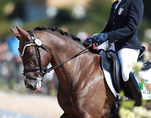 Italian Viola Lucrezia Sansone on Real Nice Boy (by Ricardo Go for Gold)