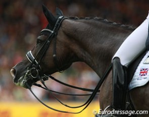 Valegro :: Photo © Astrid Appels