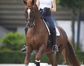 German born but riding for Finland, Kristina Böckmann on Der Kleine Lord