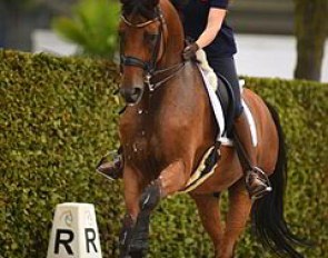 Norwegian Anne Lene Holmen schooling Rainbow Dancer