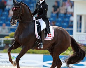 Anna Kasprzak sustained a crack in her breast bone when she got a kick Donnperignon after he spooked at the trot up