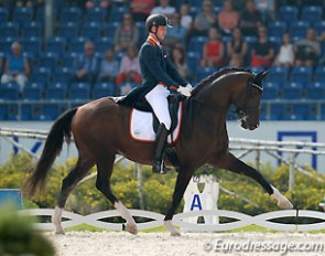 Diederik van Silfhout and Arlando at the 2015 European Dressage Championships :: Photo © Astrid Appels