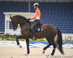 Diederik van Silfhout on Arlando