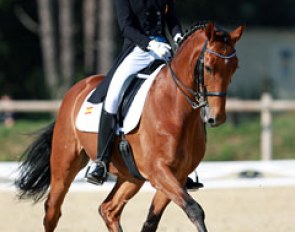 Anna Comas Margarit on Furstenau
