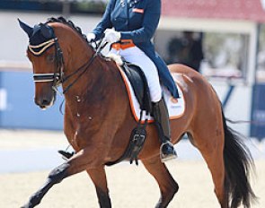 Dana van Lierop on Equestricons Walkure at the 2015 European Young Riders Championships in Vidauban, France :: Photo © Astrid Appels